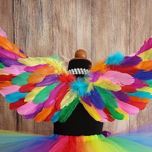 Rainbow Unicorn Costume Rainbow Wings Halloween Costume Wings for