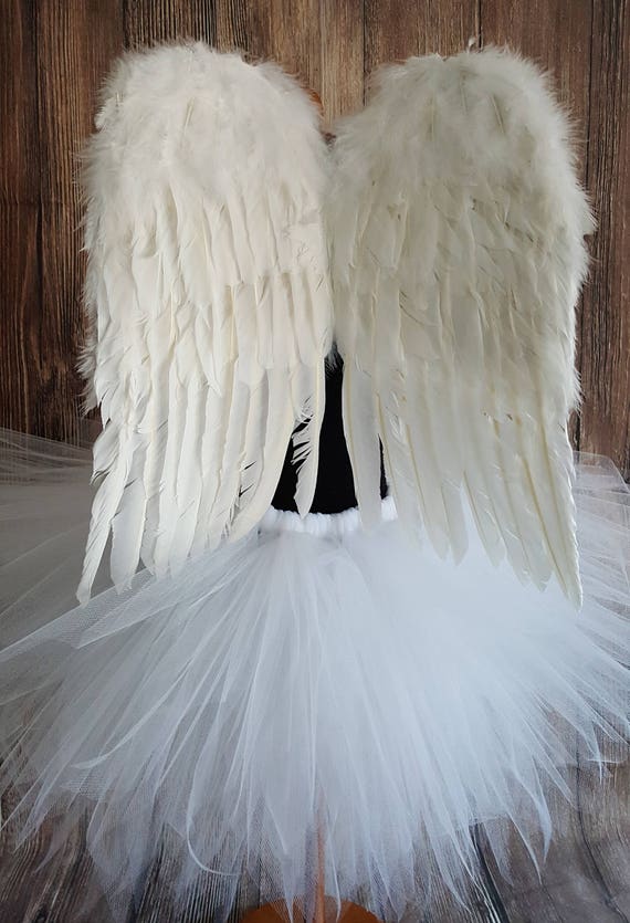 Fallen Angel Adult Black Angel Costume Wings, 16 X 16 Black Angel Wings,  Dark Angel Demon Costume Accessory for Halloween Wings Only 