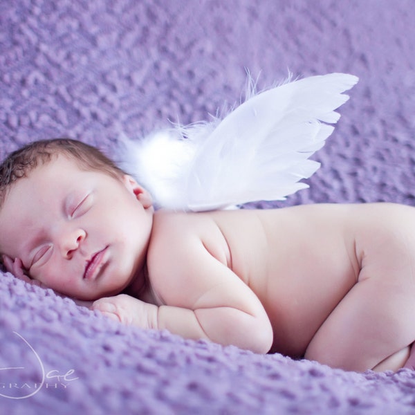 Infant Feather Angel Wings - newborn to 12 months - Perfect for Photo Props and Shower Gifts - Wings Only - READY TO SHIP