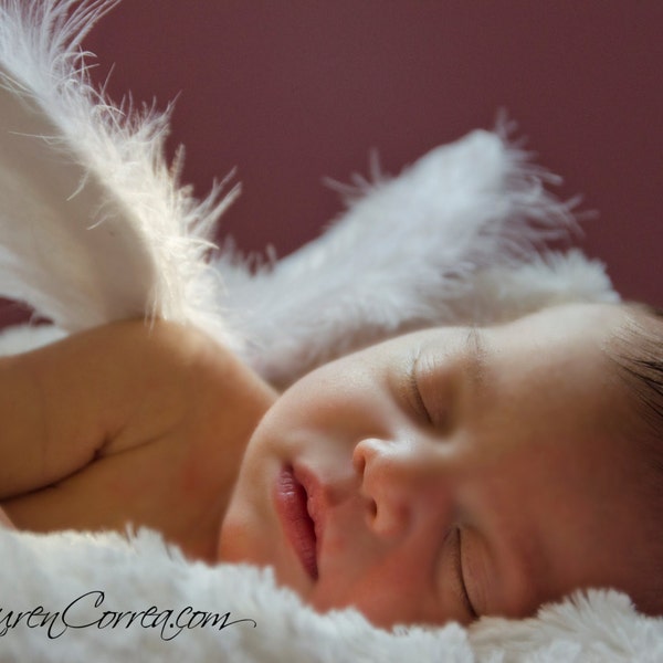 Angel Wings for Baby - Photo Prop Infant Feather Angel Wings - READY TO SHIP - Wings Only