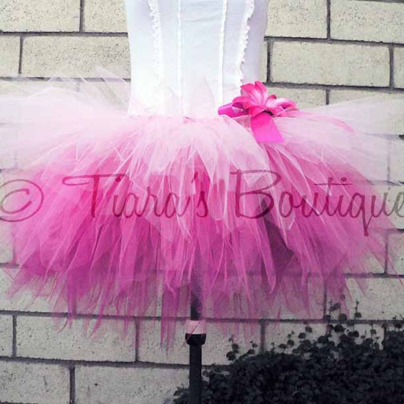 Tutu Dress in Pink and Lavender Ombre main image 1