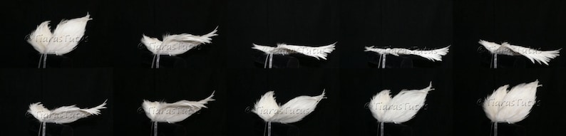 Angel Wings for Baby Photo Prop Infant Feather Angel Wings Fully Poseable for Newborn Photography image 4