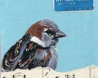 Sparrow's Song notecard