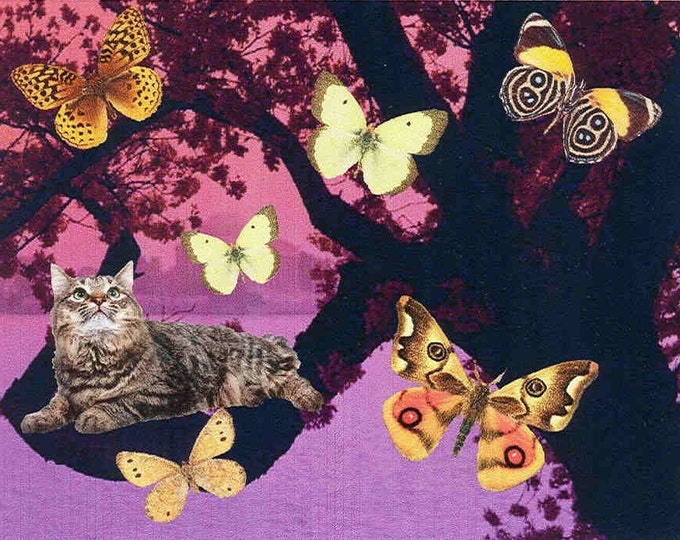 Kitty Dreams notecard