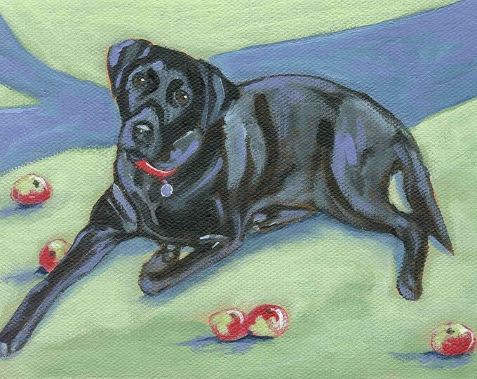 Black Lab  in the orchard greeting card