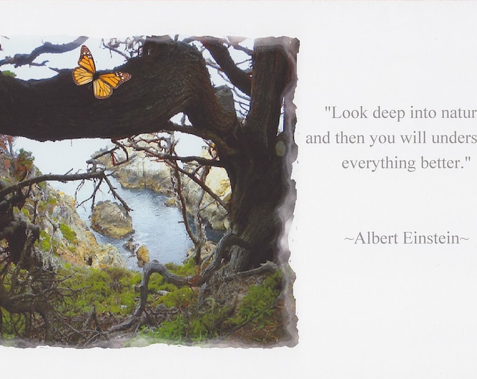 Einstein nature quote large card