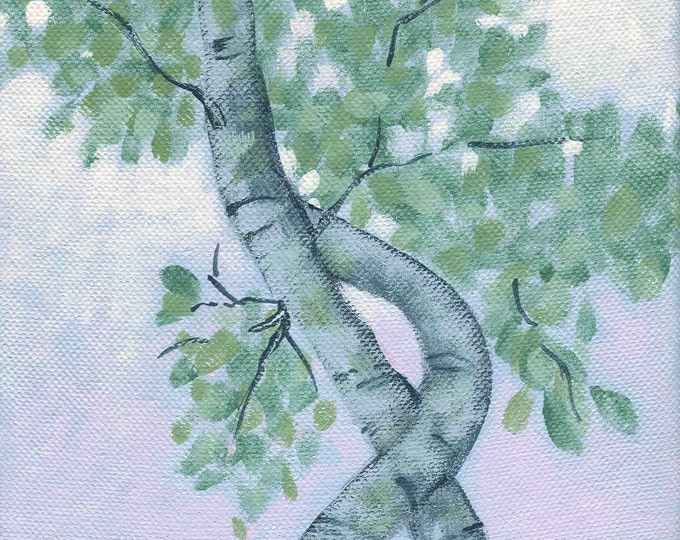 Twilight Tree Study blank greeting card