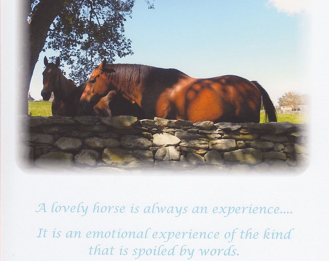 A Lovely Horse quote card
