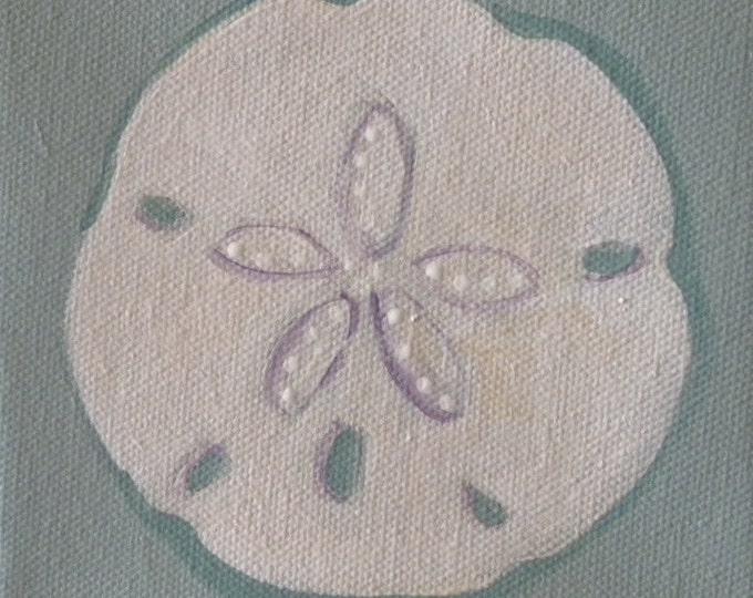 sand dollar blank greeting card