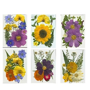 Fleurs séchées pressées I Décoration florale I Fleurs séchées en résine faites main I Feuilles de fougère séchées I Activité pour le visage I Décoration de mariage
