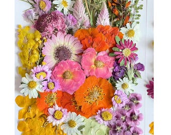 100+ Food-Safe Dried Pressed Flowers for Cake Decorating, Wedding Cakes & Baking