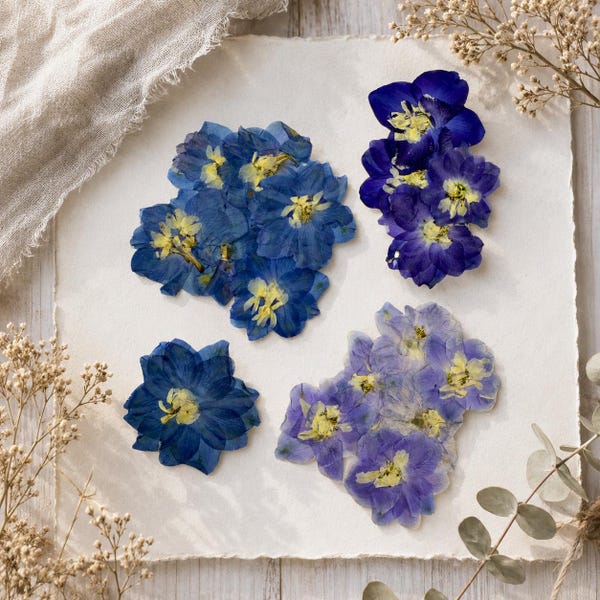 12 Gepresste große Delphinium Blumen | Blau Lila Juli Geburtsblume für Resin Crafts
