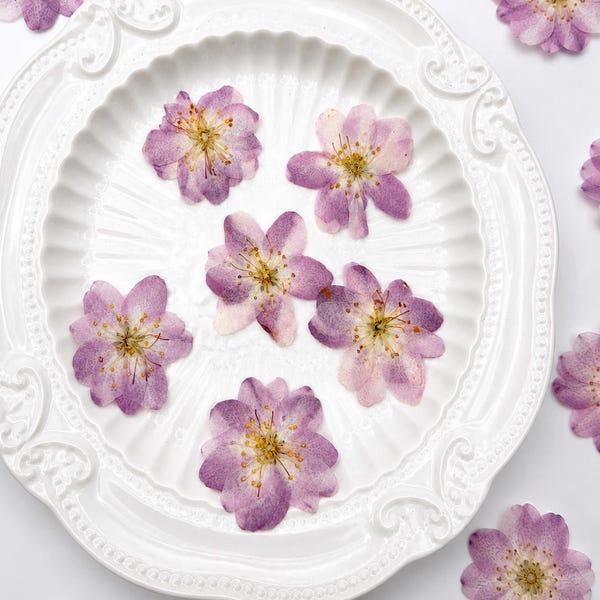 Gepresste Zierapfel-Blüten, rosa Blumen für die Kuchendekoration, Harz-Kunsthandwerk