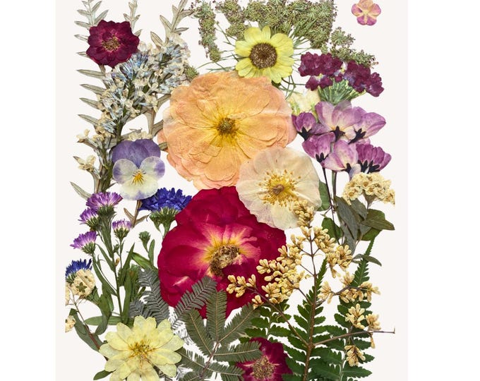 Edible Pressed Flowers Set – Food-Safe Cake & Wedding Decoration
