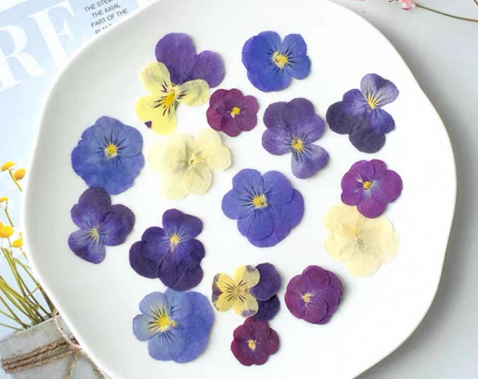 Pressed Edible Pansy (Viola) Flowers – Cake, Dessert & Drink Decoration, Real Dried Edible Flowers