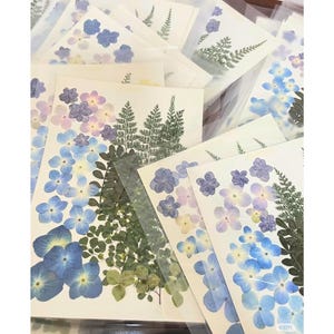 Fleurs séchées naturelles | Sans danger pour les aliments | Décorations pour gâteaux | Artisanat DIY | Fleurs pressées | Art en résine | Emballage cadeau | Décor botanique
