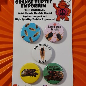 Cicada Magnets 5-piece set | 2024 Cicadas | Funny Cicadas | Cicada Art | Double Brood Cicadas | Cicada Gifts | Silly Cicadas