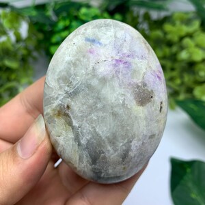 Peut inclure: Une pierre précieuse polie de forme ovale avec un aspect moucheté. La pierre présente un mélange de teintes grises, blanches, violettes et bleues, avec une surface lisse et arrondie. La pierre est tenue dans une main, avec un feuillage vert en arrière-plan.