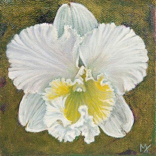 WHITE CATTLEYA ORCHID - Original oil painting on canvas with gold leaf - 6x6