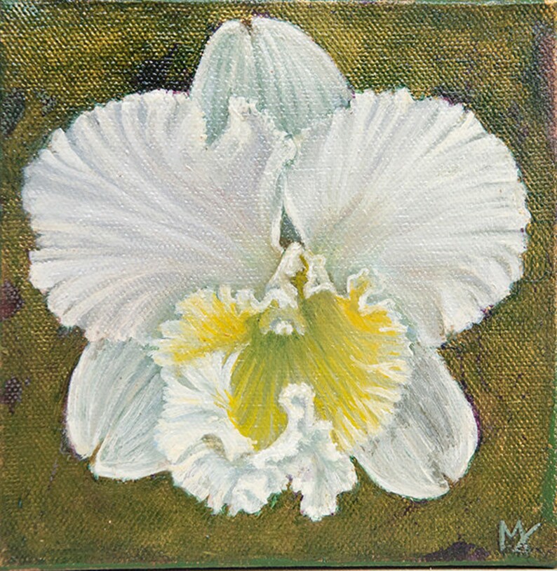 WHITE CATTLEYA ORCHID - Original oil painting on canvas with gold leaf - 6x6