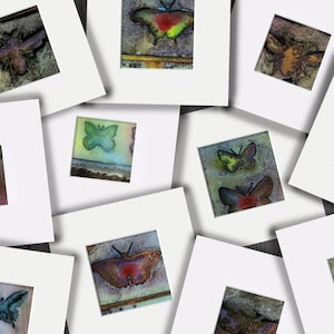 May include: A collection of framed butterfly art prints. Each print features a unique butterfly design with various colors, set against a textured background. The frames are white, and the arrangement is on a dark wood surface.