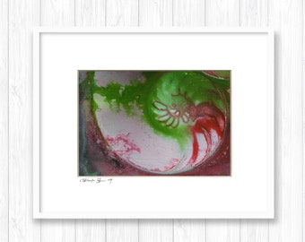 Sea Shell Watercolor Painting in 8x10 Mat - Nautilus Shell 930