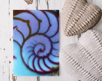 Original Sea Shell ACEO Art, Painting -Nautilus Shell 602