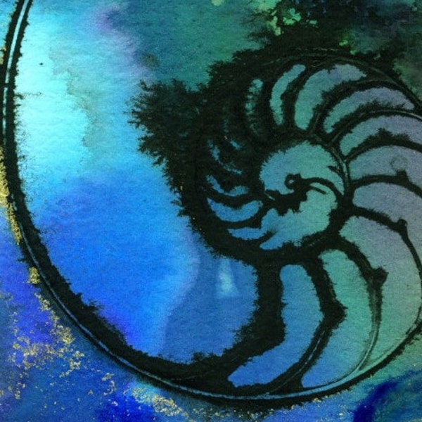 NAUTILUS SHELL 52 Original Contemporary Modern sea art painting FRAME READY EBSQ