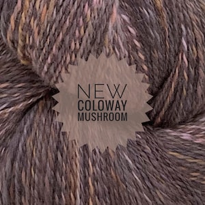 Wool-Tone, 7 Colorways, Variegated 100% Wool, Hand-spun, Fingering-weight Yarn, 2 Ounce Skein