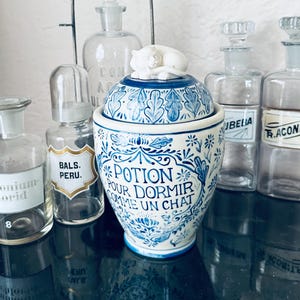 Apothecary Jar - Potion to sleep like a cat (w/instructions) Handmade pottery w/ vintage cat figurine knob - Great gift for cat lover