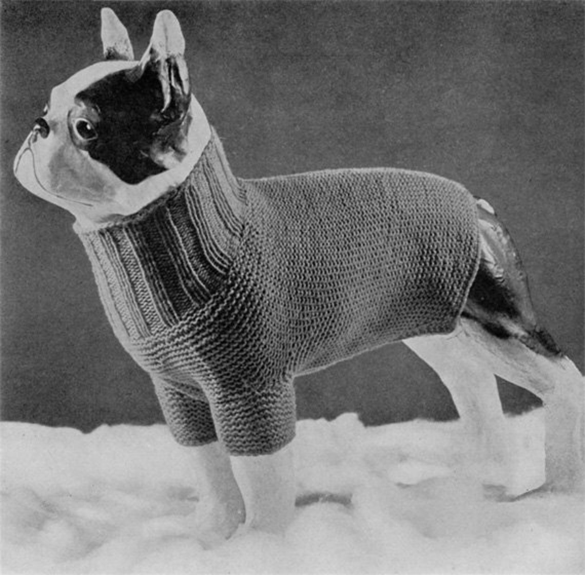 Vintage Turtleneck Dog Sweater Knitting Pattern 1930s PDF Ebook Etsy