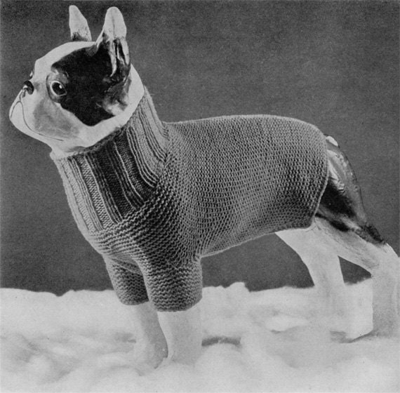 Vintage Turtleneck Dog Sweater Knitting Pattern 1930s PDF eBook