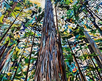 Cathedral Grove Forest Art Print: BC Landscape Painting