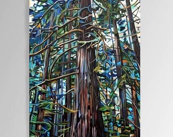 SIGNED PAPER PRINT -Tofino Rain Forest (2009) -  13x19 inch printed in studio by Taralee Guild