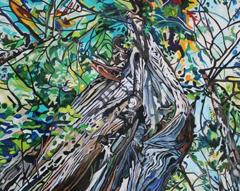 Lively Antediluvian Cedar Art Print