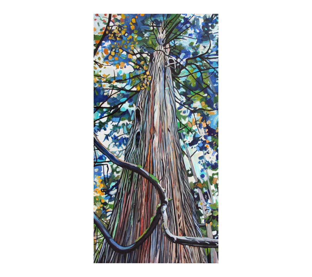 CANVAS PRINT Tall Cedar Tree Stanley Park Forest Art Painting - Etsy
