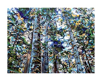Tofino Forest Art Print: Mossy Cathedral Landscape Painting