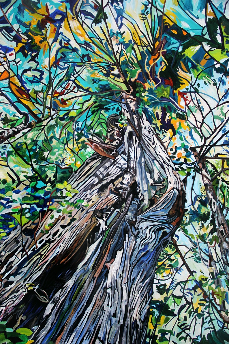 Lively Antediluvian Cedar