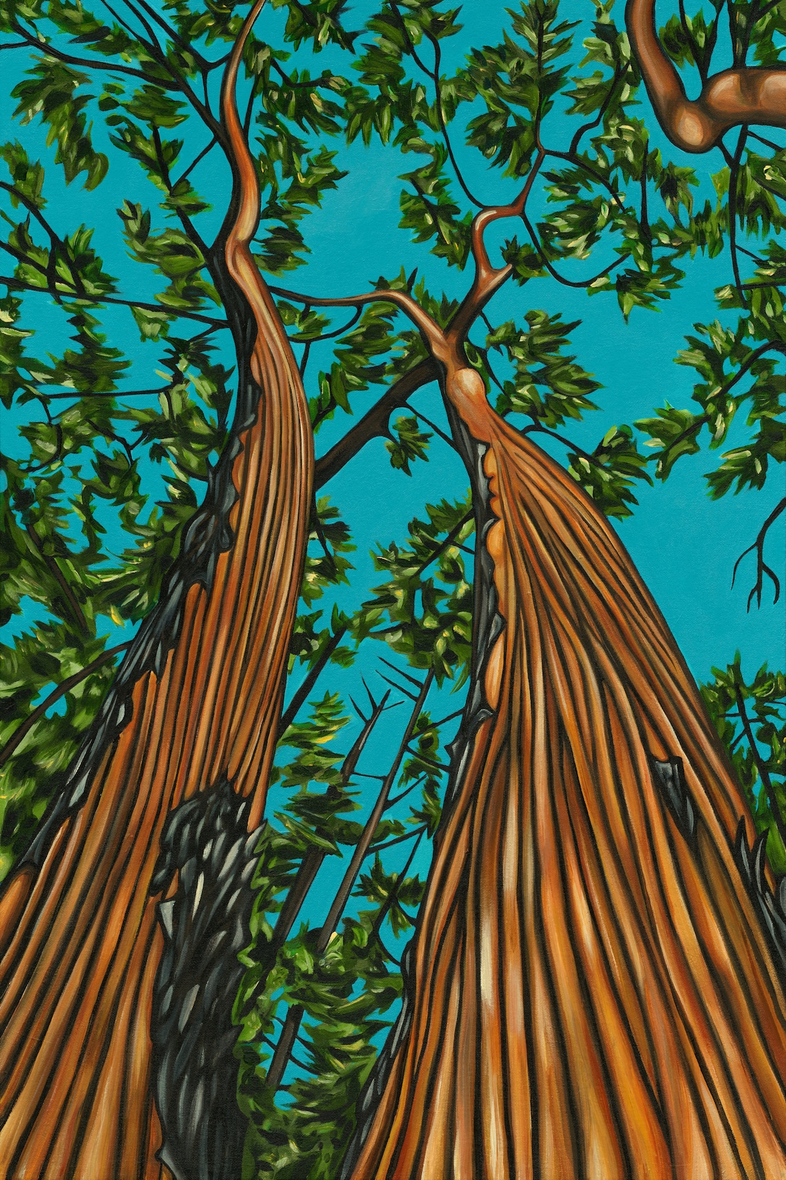 CANVAS PRINT Arbutus Tree Painting 12x8 18x12 Etsy