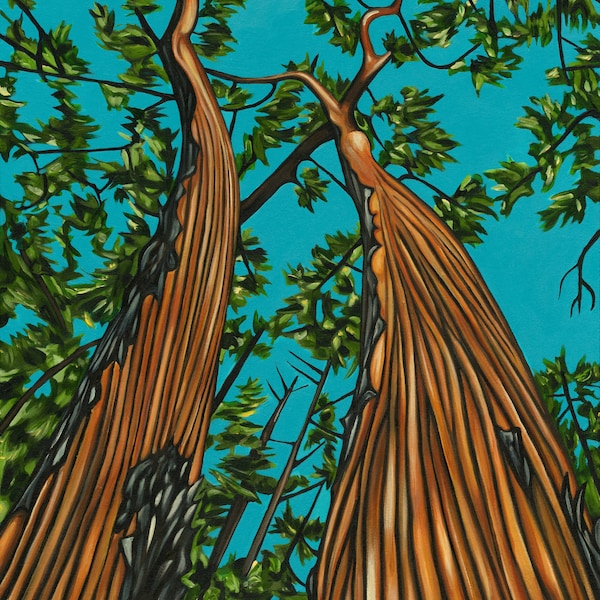 PAPER ART PRINT Arbutus Trees Painting 8x12" 11x17" 13x19" 20x28" 28x42" 32x48" 40x60"