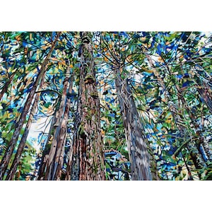 Hemlock Chapel Forest Art Print: Pacific Northwest Cathedral Grove Paper or Canvas image 1