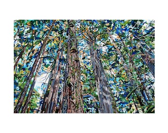 Hemlock Chapel Forest Art Print: Pacific Northwest Cathedral Grove Paper or Canvas