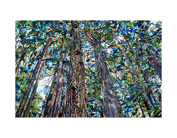 Hemlock Chapel Forest Art Print: Pacific Northwest Cathedral Grove Paper or Canvas