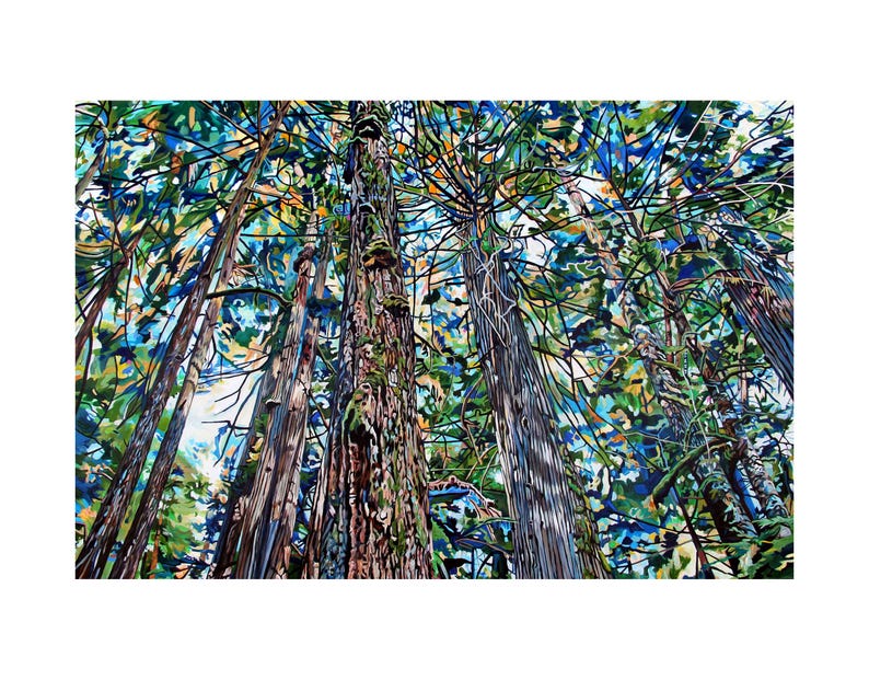 Hemlock Chapel Forest Art Print: Pacific Northwest Cathedral Grove Paper or Canvas image 1