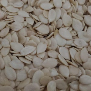 May include: Close-up shot of a pile of white, oval-shaped seeds. The seeds are tightly packed together, filling the frame. The seeds have a smooth texture and a light, creamy color, suggesting they are dried and ready for use.