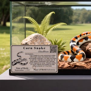 Etichetta personalizzata con nome per rettili, etichetta personalizzata con nome per specie di rettili, informazioni sulle specie di rettili, anfibi e rane, etichetta per acquario, regalo per amanti dei rettili