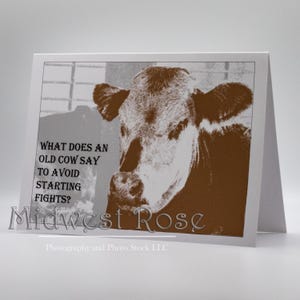 Cartão de aniversário engraçado de vaca