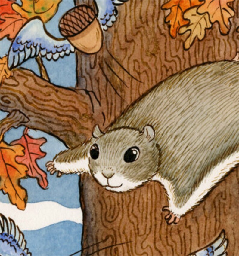 Flying Squirrel Acorn Art Print 11 x 14 Nutty Flyers image 2