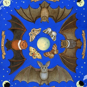 Bats Art Illustration Print 11&quot; x 14&quot;