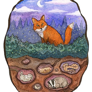 Nighttime Fox and Animals Woodland Art Print 11&quot;x14&quot;